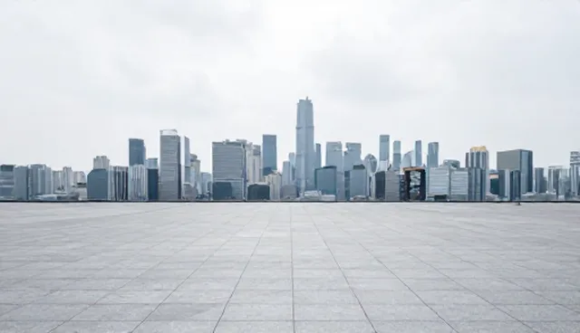 技术难点如何影响信息技术咨询项目的选择