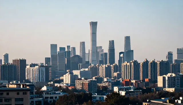 系统集成维护策略：自主维护与外包服务的对比分析